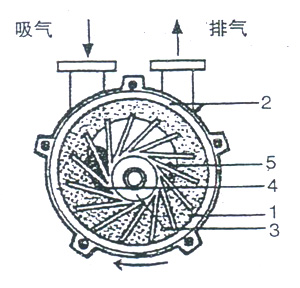 2BV水環(huán)式真空泵的工作原理